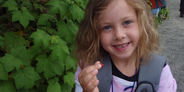 Image principale de Forest to Fork 2026