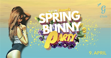 Spring Bunny Party primary image