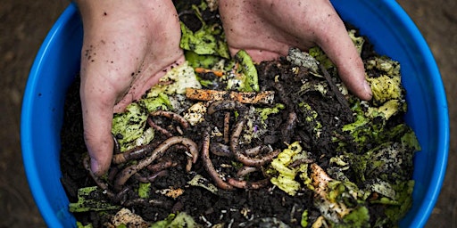 Imagem principal de Composting 101