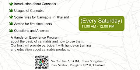 Cannabis101 Program