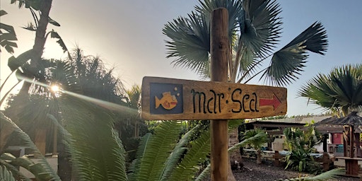 Immagine principale di Tenerife yoga & meditation retreat: Sunshine, connection & hope 