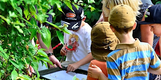 Imagem principal do evento Miraculous minibeasts at NWT Hickling Broad (EDU FAMILY)