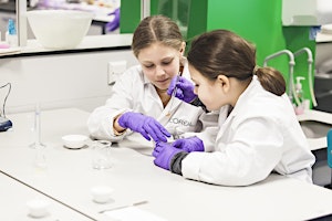 Image principale de Holiday workshops: Colour chemistry (ages 7–8)