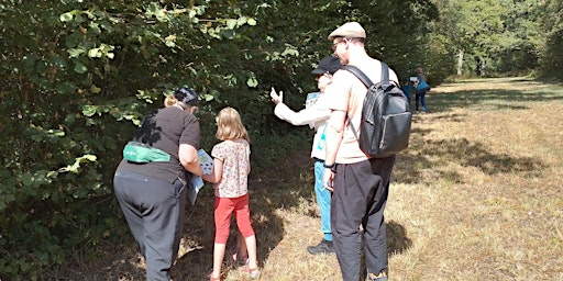 Primaire afbeelding van Tremendous Trees at NWT Foxley Wood (EDU FAMILY)