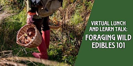 Virtual Lunch and Learn Talk – Foraging Wild Edibles 101