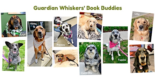 Image principale de Guardian Whiskers' Book Buddies Reading Program for Children