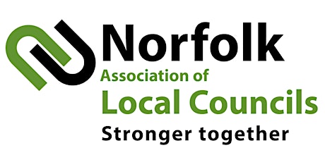 Flourishing in Norfolk - a strategy to help children and young people