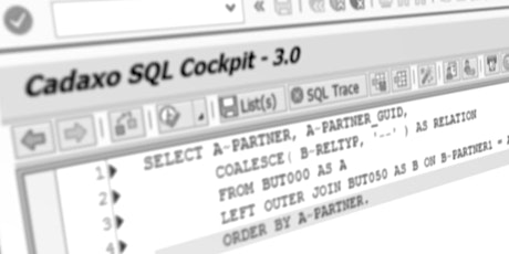 Cadaxo SQL Cockpit goes SAP BW - Webinar