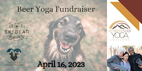 DownDogs and Drafts Beer Yoga Fundraiser