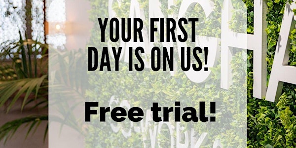 Free trial day