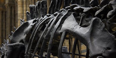 Natural History Museum Natural History Museum