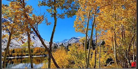 EASTERN SIERRA FALL PHOTO WORKSHOP OCT. 2018 primary image