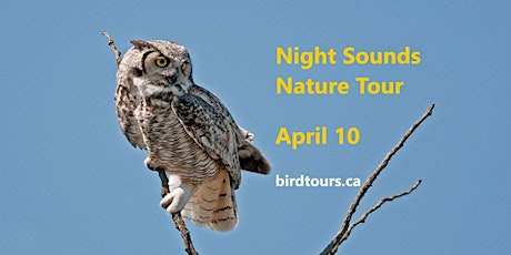 Night Sounds Nature Tour