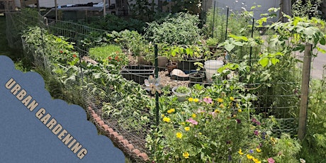 Urban Gardening Challenges and Best Practices
