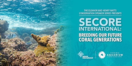 SECORE International: Breeding our Future Coral Generations