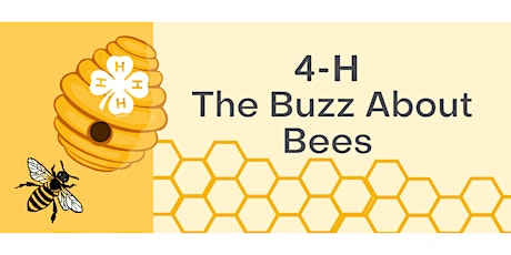 Imagen principal de The Buzz about Bee's