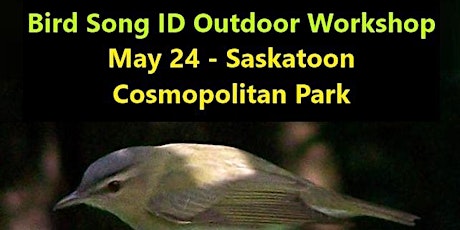 Bird Song Identification Workshop 4