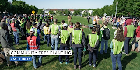 Community Tree Planting: Catholic University of America primary image