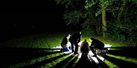 Evening Moth Survey in the Heart of England Forest - BioBlitz 2024