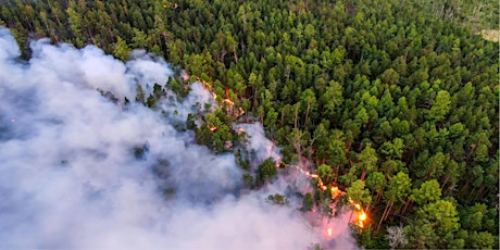 Immagine principale di World on Fire: Woodwell Climate Research Panel 