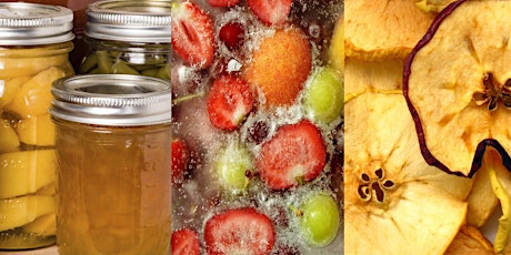 Food Preservation - freezing, dehydrating & how to make jam! primary image
