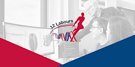 12 Labours Seminar: Multiscale modelling for computational physiology