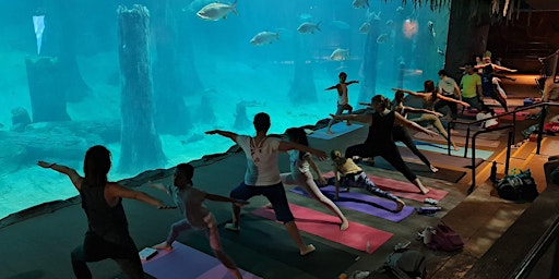 Animal Yoga @ River Wonders - Amazon Flooded Forest (For Parent & Child) primary image