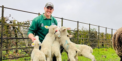 Imagen principal de Graves Park Animal Farm - Bottle Feeding Lambs
