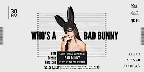 Bad Bunny Night @ Zeus