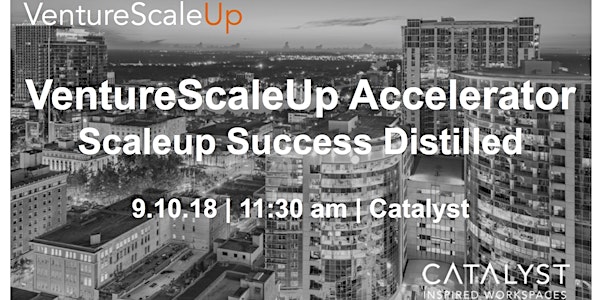 VentureScaleUp Accelerator: Scaleup Success Distilled