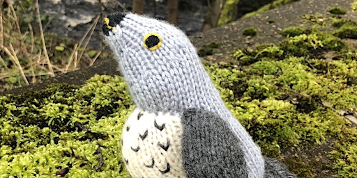 Knit a Cuckoo with Sarah at The Woolly Tap