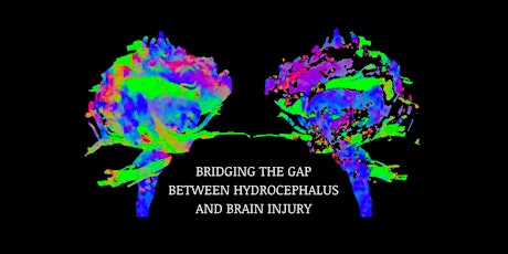 The Symposium on Approaches to Hydrocephalus and Brain Injury primary image