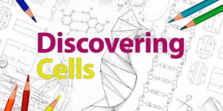 Discovering Cells: An Art Science Workshop for Families