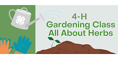 Imagen principal de 4-H Gardening Class All About Herbs