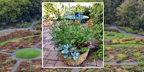 Waterwise Summer Container Gardens Using Drought Tolerant Plants