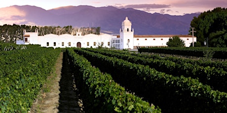 Argentina:  Wine and Gastronomy Routes primary image