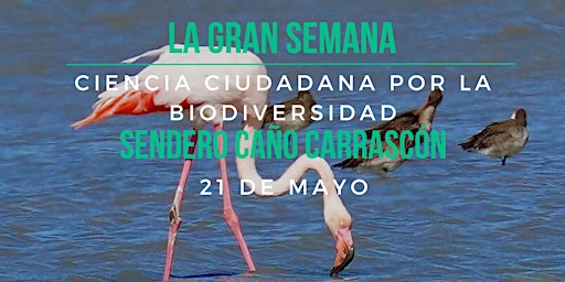 San Fernando - La Gran Semana 21 de Mayo - 9:30 a 12:30