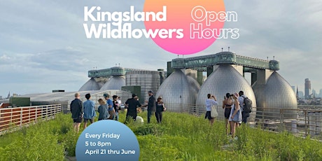 Kingsland Wildflowers: Friday Open Hours
