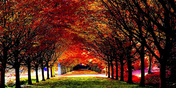 Community Poetry Night - Celebrating the Change of Seasons PLUS open mic!
