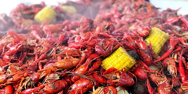 The Crawdad Festival