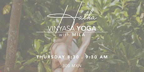 Hatha Vinyasa Yoga  primärbild