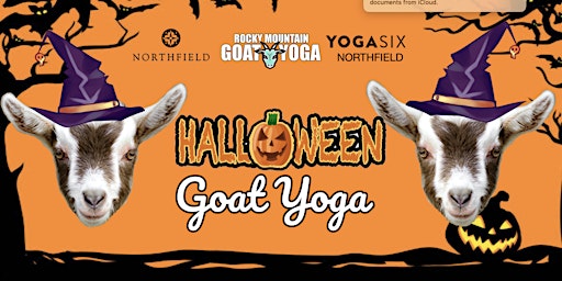 Primaire afbeelding van Halloween Goat Yoga - October 12th (YOGA SIX - NORTHFIELD)