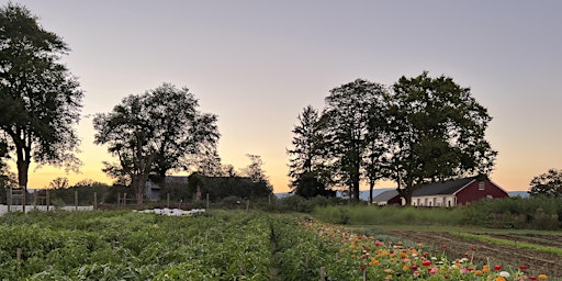 2nd Annual Summer Solstice Feast in the Field