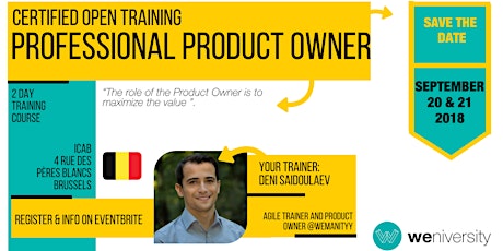 Agile Professional Product Owner Training