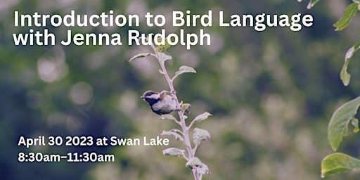 Introduction to Bird Language with Jenna Rudolph