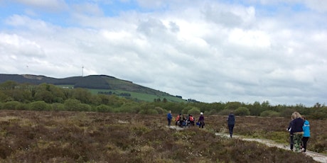 Guided Tour of Griston Bog - Ballyhoura Outdoor Classroom primary image