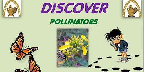 Exploring the Pollinator Garden at Lake Accotink Park primary image