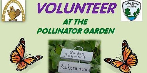 Imagem principal do evento Caring for the  Pollinator Garden at Lake Accotink Park