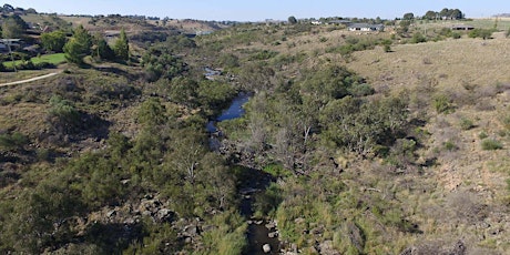 Rivers of Carbon: Yass River Restoration Walk primary image