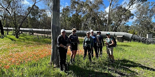 Heysen Trail Cudlee Creek to The Nugget Road 30th Sept primary image